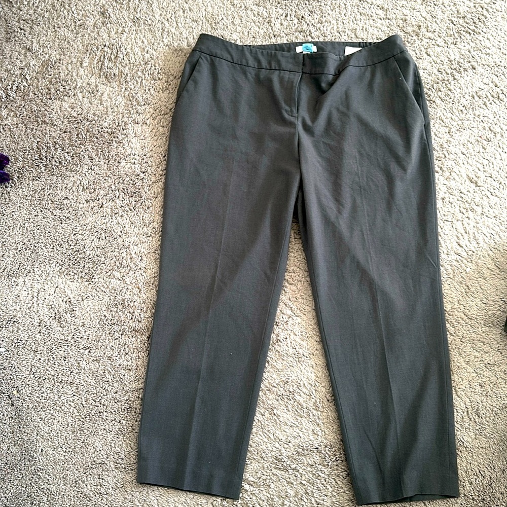 Professional pants, plus size